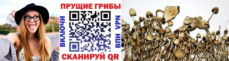 Псилоцибиновые грибы Magic Shrooms  Ялуторовск 